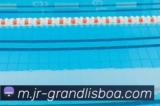 澳门新葡京娱乐平台生态图